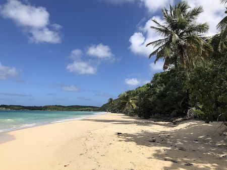 plage Anse Caraïbe